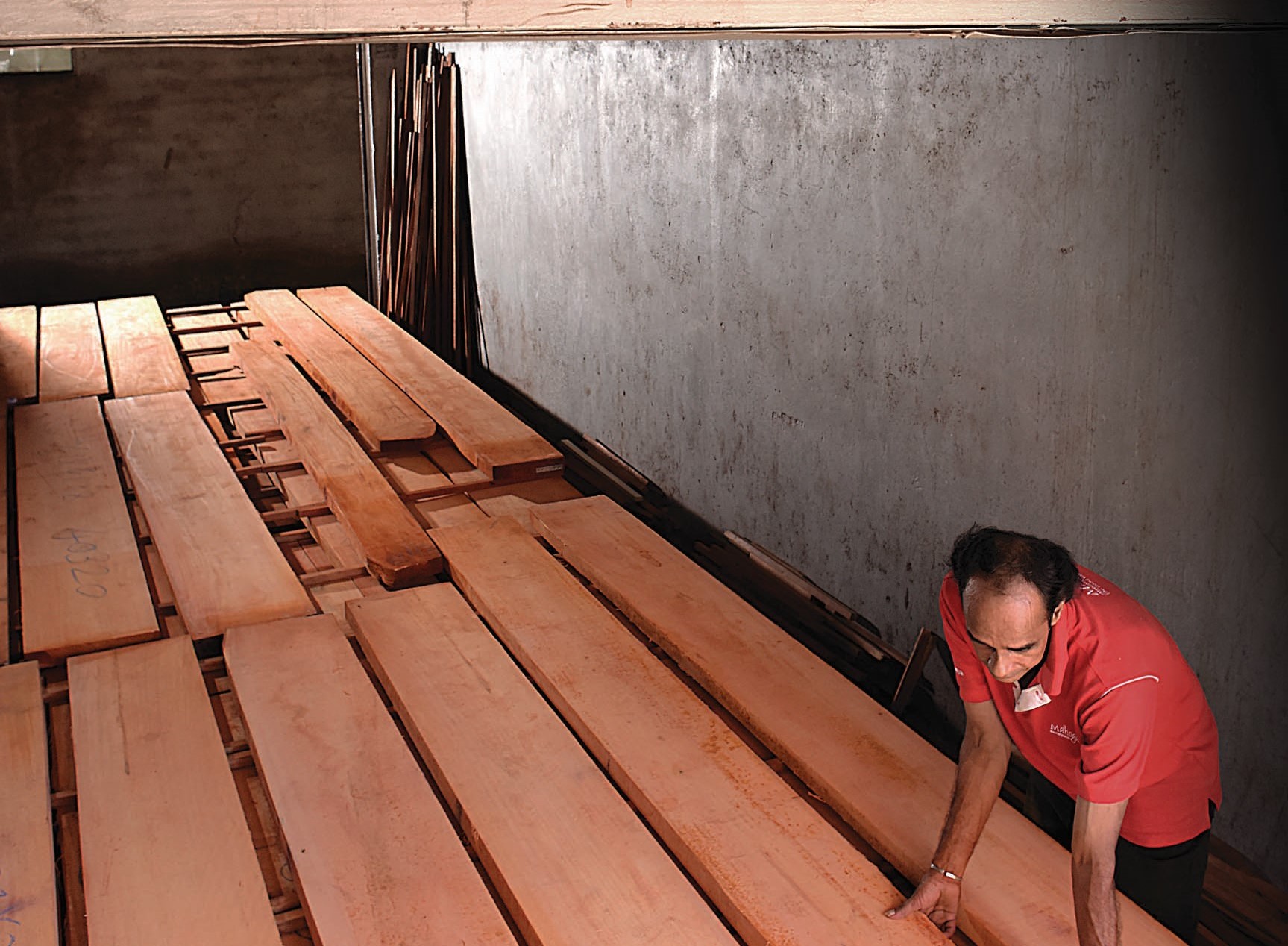 Timber Without Compromise: How We  Source, Dry and Steward Our Wood